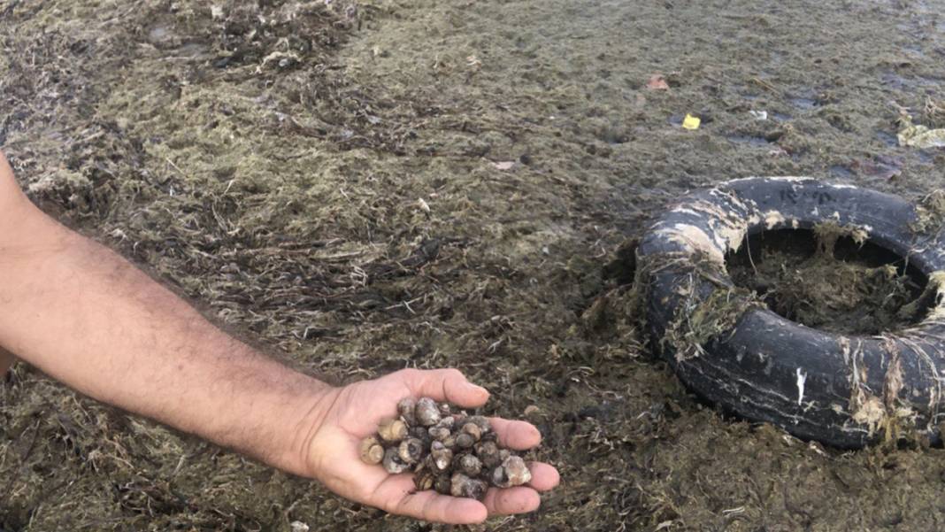 Eğirdir Gölü alarm veriyor: Derinlik 4 metrenin altına indi 4